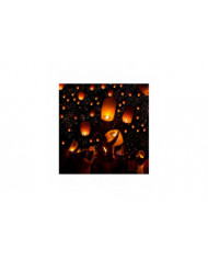 Paquet de 10 lanternes célestes Lanterne en papier résistant au feu écologique, biodégradable sans fil à libérer [...]