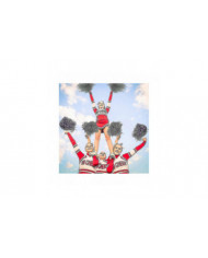 24 Pack Cheerleading Metallic Pom Pom Pom 12 pouces Pom Pom Poms avec bâton