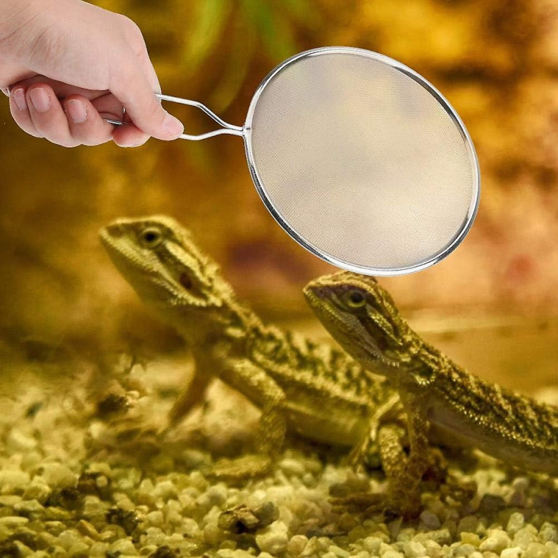 Reptile Sand Scoop Stainless Steel Litter Box Cleaning Tool for Turtle Lizard