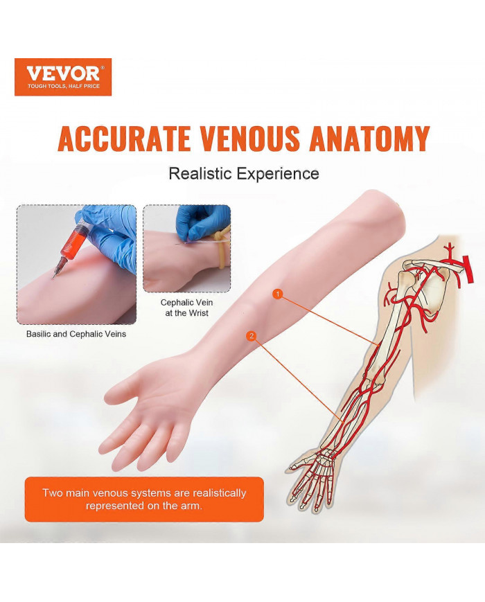 Kit de pratique de phlébotomie, kit de bras d’entraînement IV de simulation élevée avec sac de transport, pratique [...]