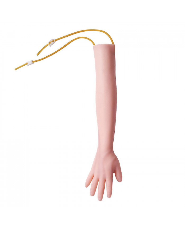 Kit de pratique de phlébotomie, kit de bras d’entraînement IV de simulation élevée avec sac de transport, pratique [...]