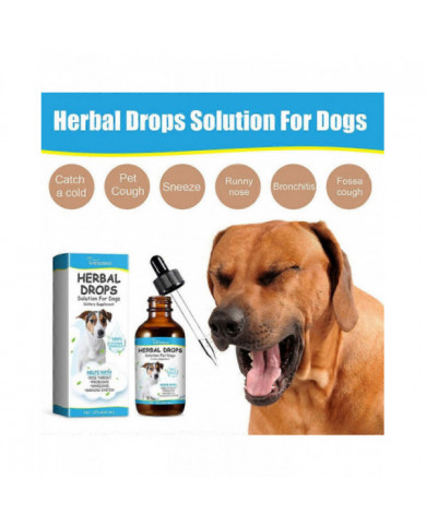 Traitement de la toux pour chiens, solution de gouttes à base de plantes pour les chiens complément alimentaire, [...]