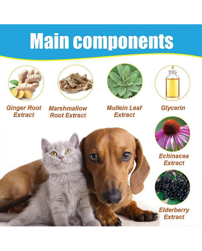 Traitement de la toux pour chiens, solution de gouttes à base de plantes pour les chiens complément alimentaire, [...]