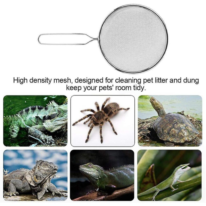 Reptile Sand Scoop Stainless Steel Litter Box Cleaning Tool for Turtle Lizard