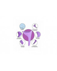 Dispositif d’urination féminine - Entonnoir d’urinoir 5 pièces pour femmes Entonnoir de pipi féminin réutilisable [...]