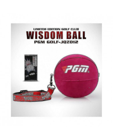 Gonflable Golf Smart Ball Trainer Portable Swing Arm Correcteur