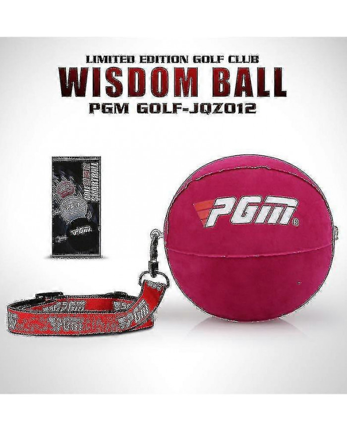 Gonflable Golf Smart Ball Trainer Portable Swing Arm Correcteur