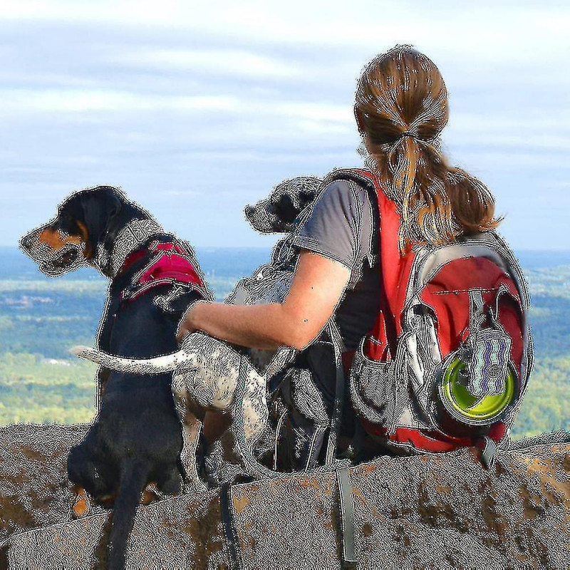 Dog Poop Bag Holder, Pet Garbage Bag Dispenser Holder Leash Attachment, 600d Oxford Cloth, Durable Metal Zipper [...]