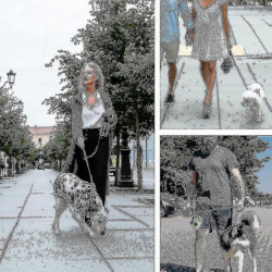 Dog Poop Bag Holder, Pet Garbage Bag Dispenser Holder Leash Attachment, 600d Oxford Cloth, Durable Metal Zipper [...]