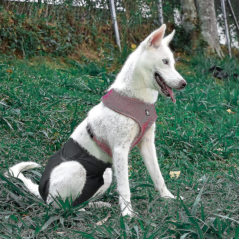 Pcs De 3 couches Laveables Réutilisables Pour Chien, Physiologi Chien Très Absorbant