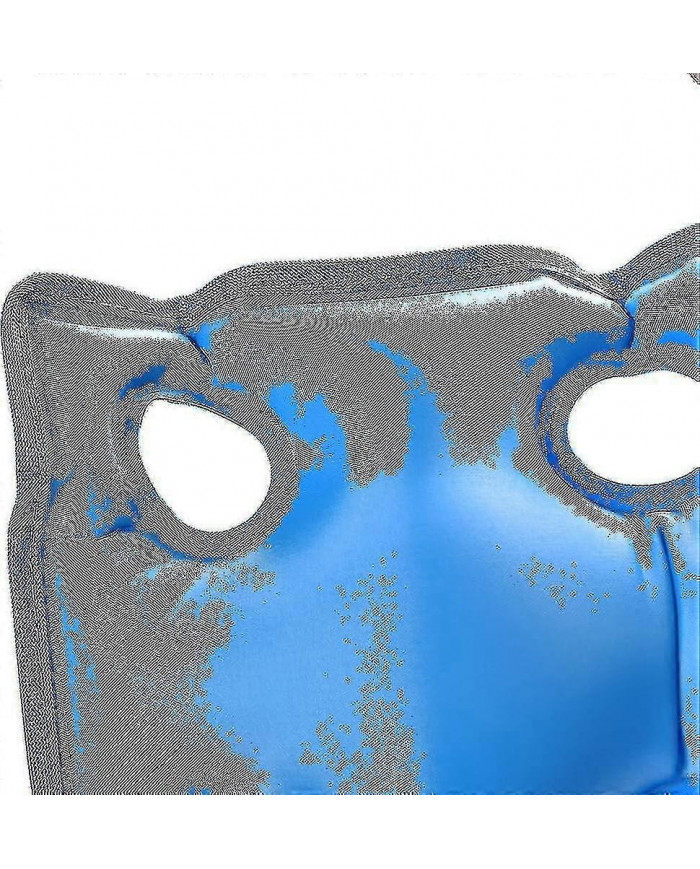 Coussin de gaufre pour les plaies de pression - Coussins de plaies de lit pour les fesses pour les personnes âgées [...]