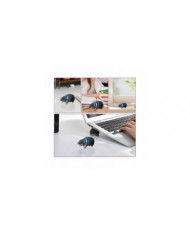 Jouet Moo Deng, hippopotame Moo Deng, statue d’hippopotame pygmée de porc rebondissant, figurine en résine d’hippopotame