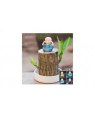 Mini Brésil Lucky Wood - Magical Sprouting Lucky Bambou Bois - Hydroponique Plante en Pot Stump Petite Mini Plante [...]