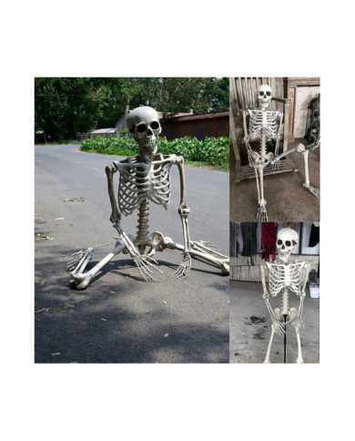 Halloween Squelette grandeur nature Corps complet Posable Articulations Os humains, effrayant Halloween Décor de [...]