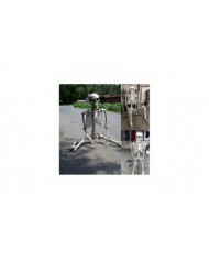 Halloween Squelette grandeur nature Corps complet Posable Articulations Os humains, effrayant Halloween Décor de [...]