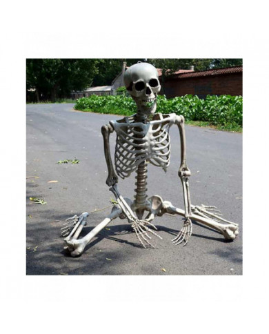 Halloween Squelette grandeur nature Corps complet Posable Articulations Os humains, effrayant Halloween Décor de [...]