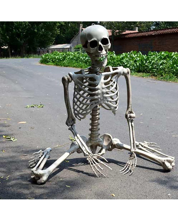 Halloween Squelette grandeur nature Corps complet Posable Articulations Os humains, effrayant Halloween Décor de [...]