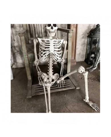 Halloween Squelette grandeur nature Corps complet Posable Articulations Os humains, effrayant Halloween Décor de [...]