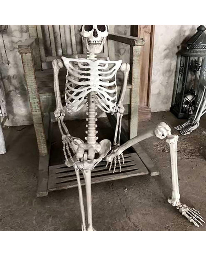 Halloween Squelette grandeur nature Corps complet Posable Articulations Os humains, effrayant Halloween Décor de [...]