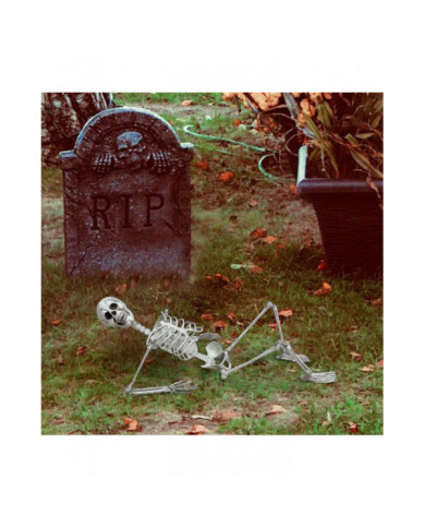 Halloween Squelette grandeur nature Corps complet Posable Articulations Os humains, effrayant Halloween Décor de [...]