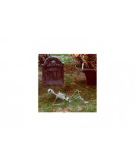 Halloween Squelette grandeur nature Corps complet Posable Articulations Os humains, effrayant Halloween Décor de [...]