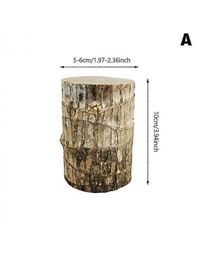 Plante verte brésilienne d’eau de bois Raise Lucky Wood Potted Four Seasons Plants