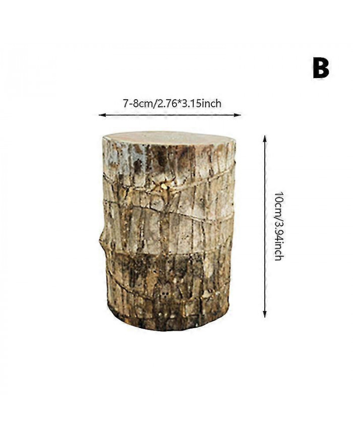 Plante verte brésilienne d’eau de bois Raise Lucky Wood Potted Four Seasons Plants