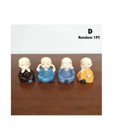 Plante verte brésilienne d’eau de bois Raise Lucky Wood Potted Four Seasons Plants