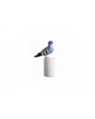 Pigeons Distributeur de savon pour oiseaux, distributeur automatique de savon pour les mains, lave-mains [...]