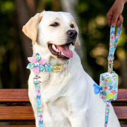 Dog Poop Bag Holder And Nylon Leash Attachment Cute Flower Pick Up Waste Bags