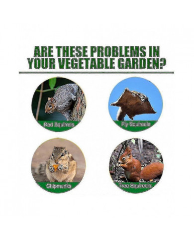 Pack de 12 répulsifs pour écureuils, répulsif pour tamias à l’extérieur, répulsif naturel pour écureuils à la [...]