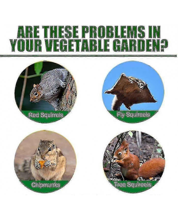Pack de 12 répulsifs pour écureuils, répulsif pour tamias à l’extérieur, répulsif naturel pour écureuils à la [...]
