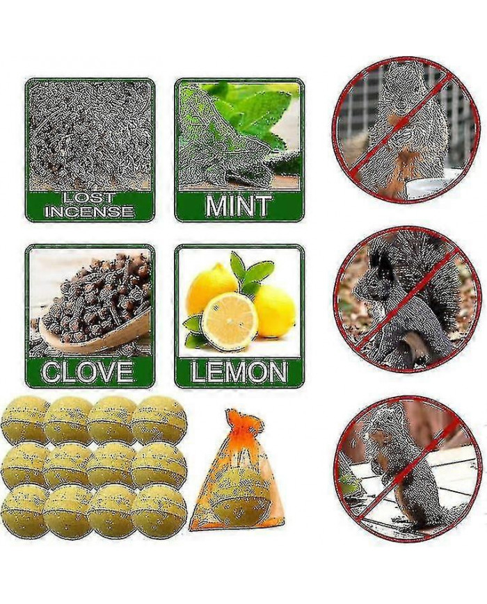 Pack de 12 répulsifs pour écureuils, répulsif pour tamias à l’extérieur, répulsif naturel pour écureuils à la [...]