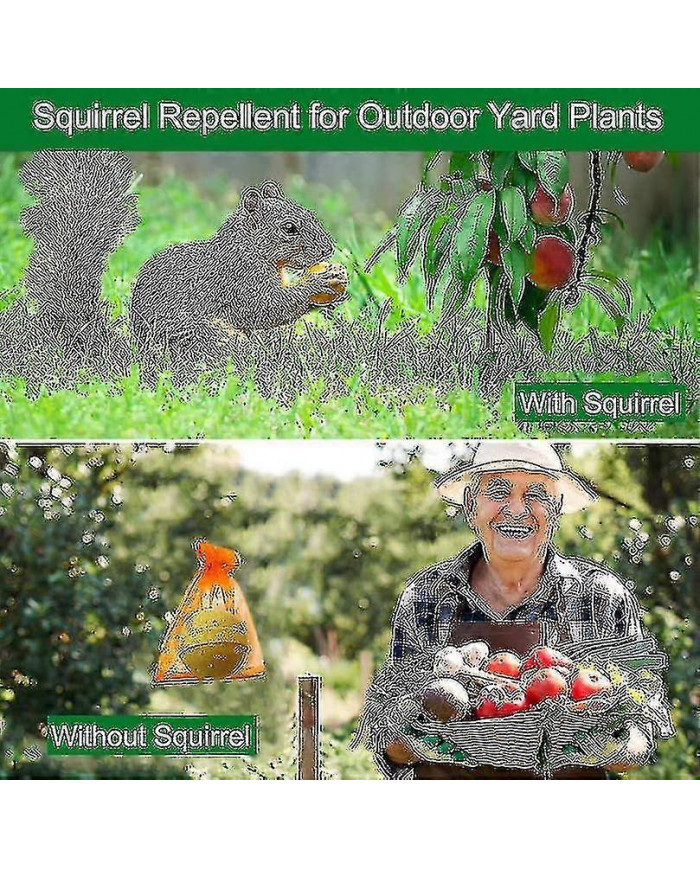 Pack de 12 répulsifs pour écureuils, répulsif pour tamias à l’extérieur, répulsif naturel pour écureuils à la [...]