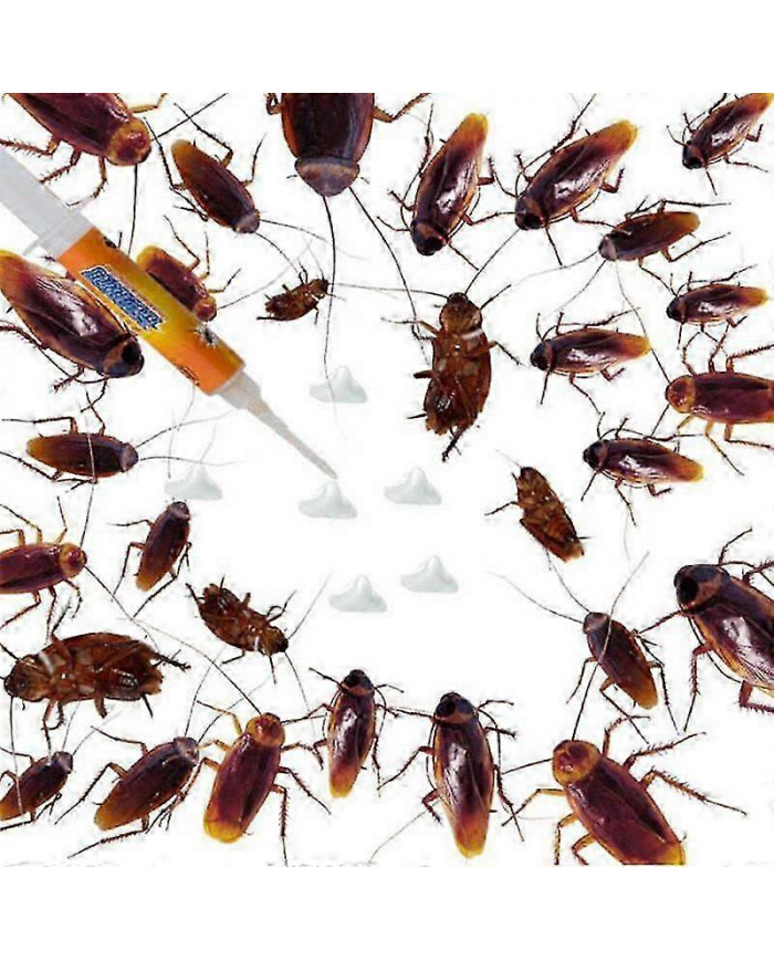 Cafard Killing Gel Roach Contrôle Ant Capture Pen Safe Efficace Puissant Cafard Répulsif