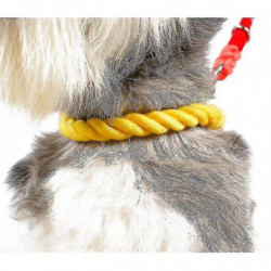 Dog Leash Dog Collar Combo Set Pet Supplies Rainbow Knit(colorful)